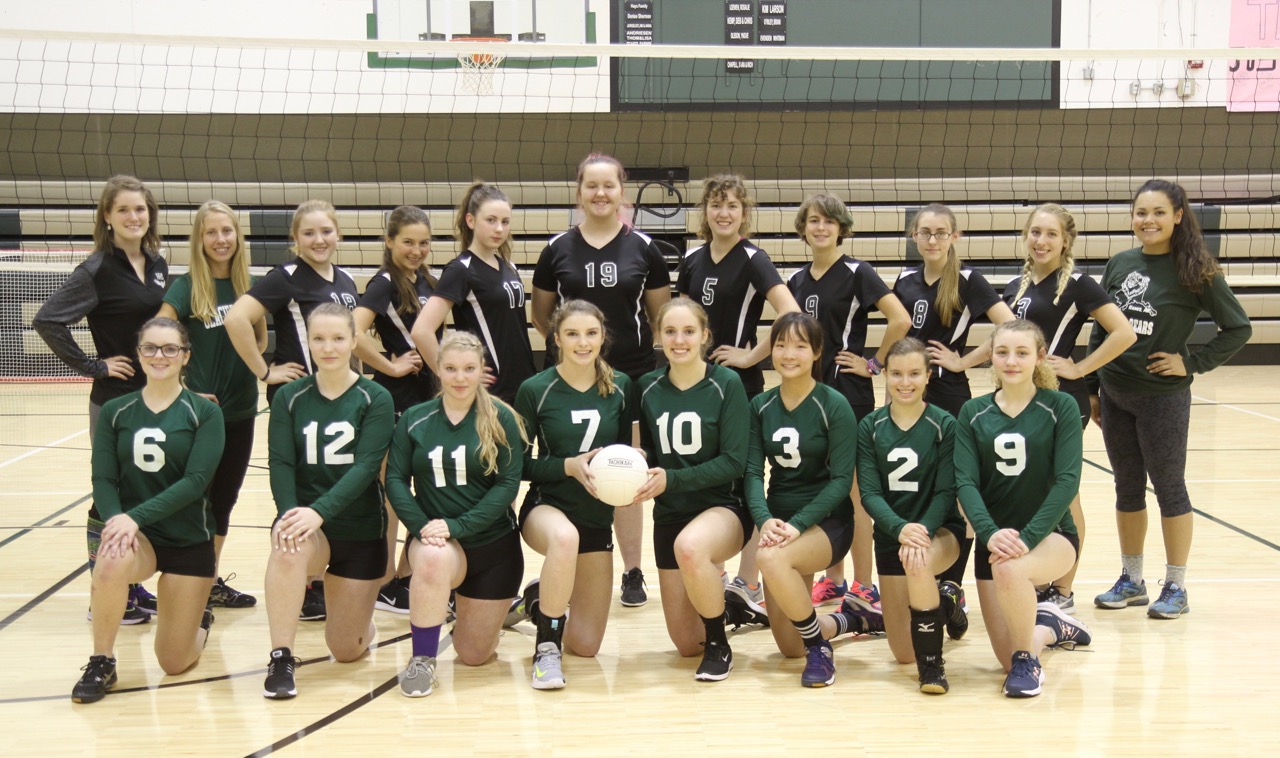 2017-2018 Volleyball