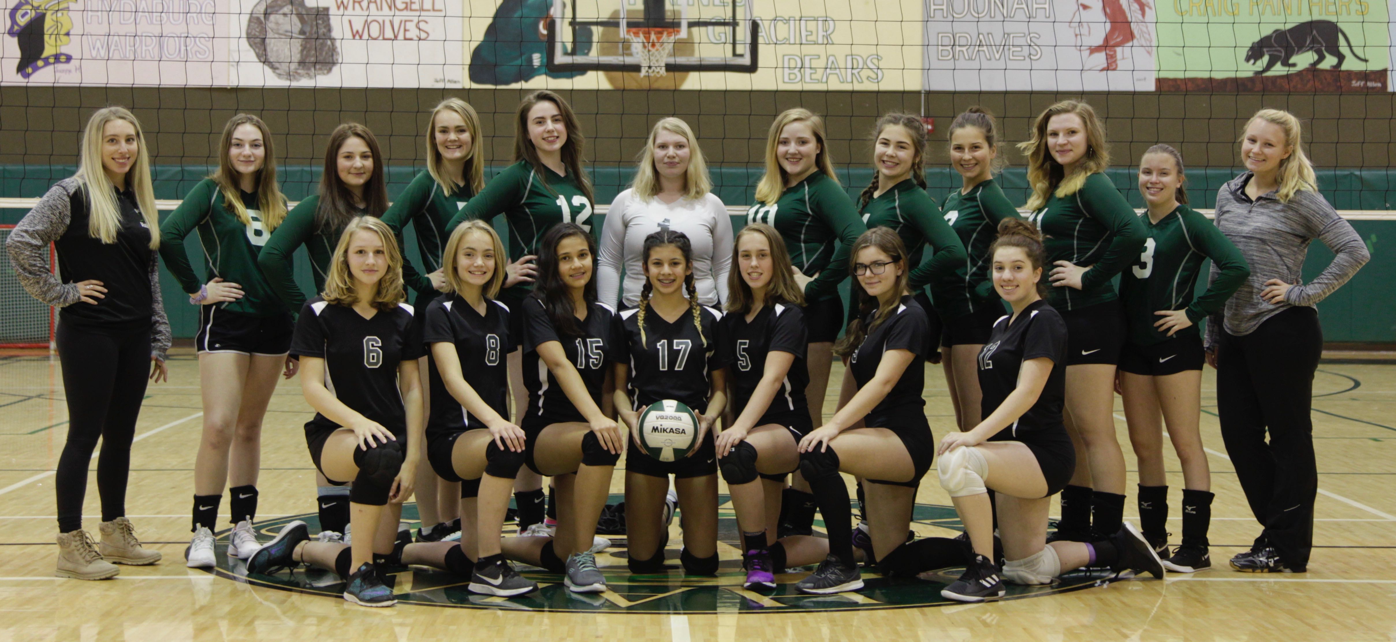 2018-2019 Volleyball
