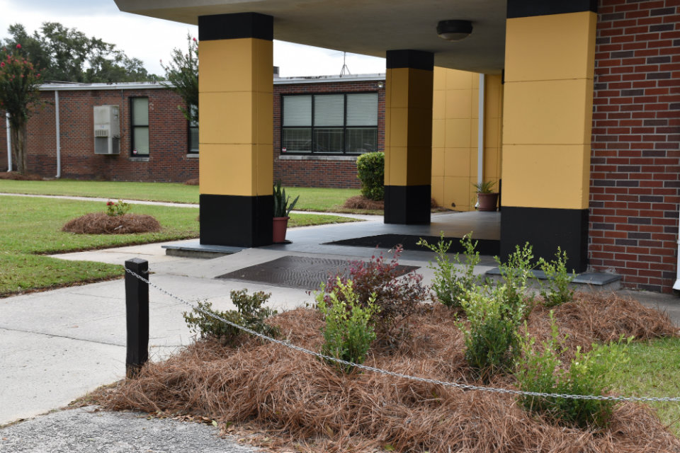 Home Allendale County Schools